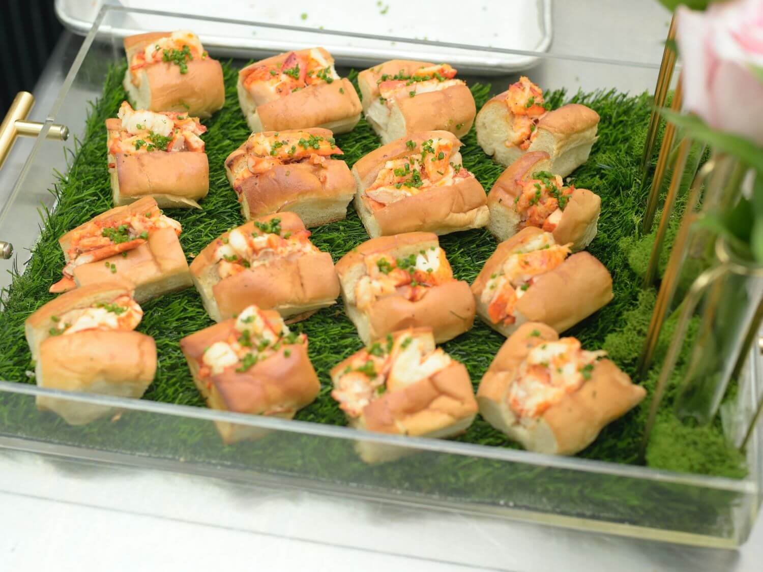 Copy-of-Copy-of-Copy-of-_DSC0475-1